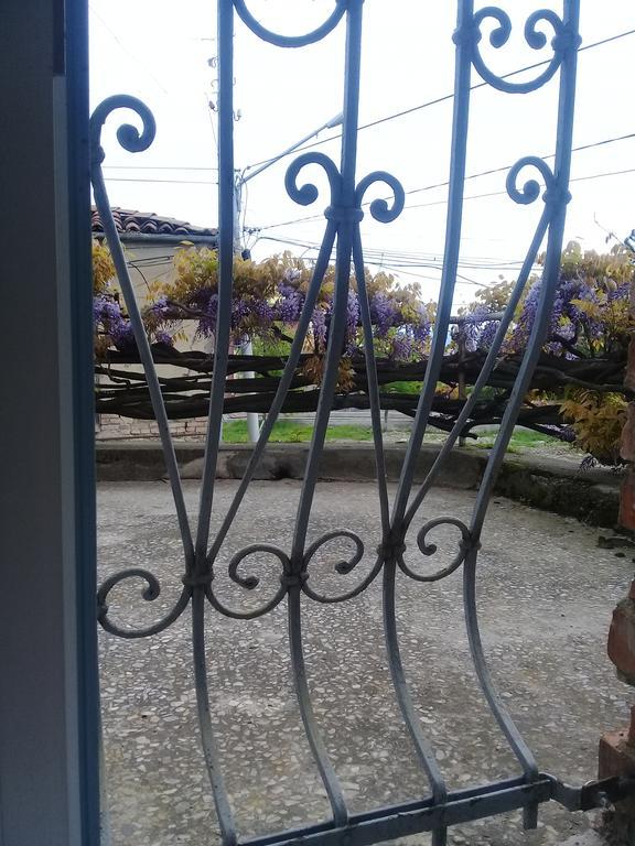 Tlt Guest House Telavi Exterior foto